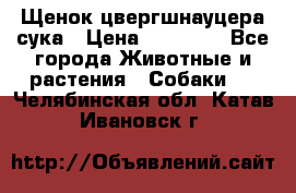 Щенок цвергшнауцера сука › Цена ­ 25 000 - Все города Животные и растения » Собаки   . Челябинская обл.,Катав-Ивановск г.